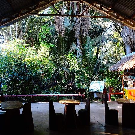 Villa Hermosa De Tambopata Casa Hospedaje & Hostel ปูแอร์โต มัลโดนาโด ภายนอก รูปภาพ
