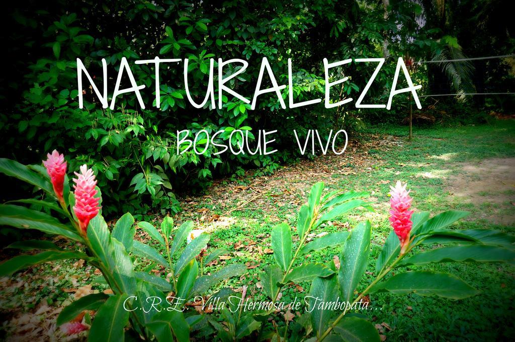 Villa Hermosa De Tambopata Casa Hospedaje & Hostel ปูแอร์โต มัลโดนาโด ภายนอก รูปภาพ