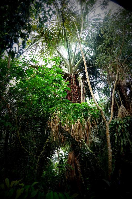 Villa Hermosa De Tambopata Casa Hospedaje & Hostel ปูแอร์โต มัลโดนาโด ภายนอก รูปภาพ