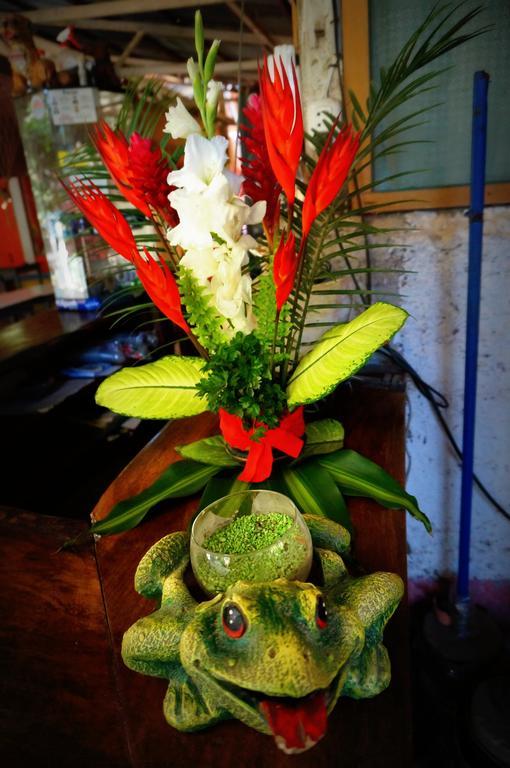 Villa Hermosa De Tambopata Casa Hospedaje & Hostel ปูแอร์โต มัลโดนาโด ภายนอก รูปภาพ