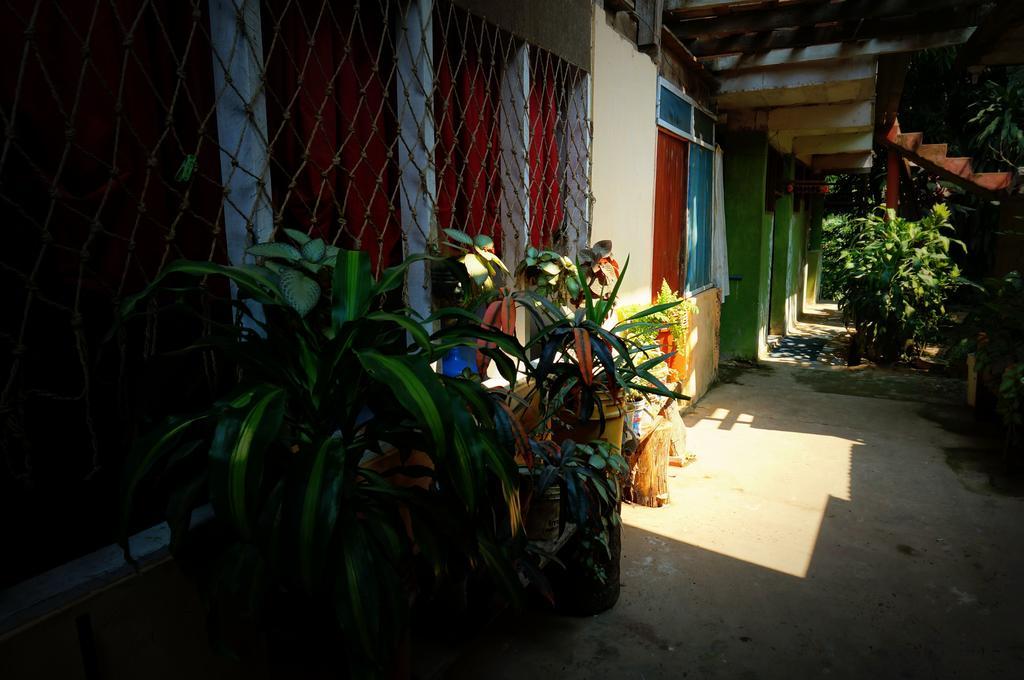 Villa Hermosa De Tambopata Casa Hospedaje & Hostel ปูแอร์โต มัลโดนาโด ภายนอก รูปภาพ