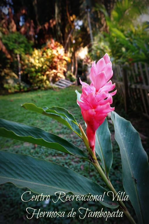 Villa Hermosa De Tambopata Casa Hospedaje & Hostel ปูแอร์โต มัลโดนาโด ภายนอก รูปภาพ
