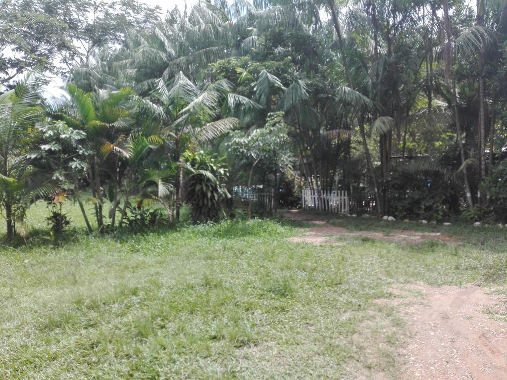 Villa Hermosa De Tambopata Casa Hospedaje & Hostel ปูแอร์โต มัลโดนาโด ภายนอก รูปภาพ
