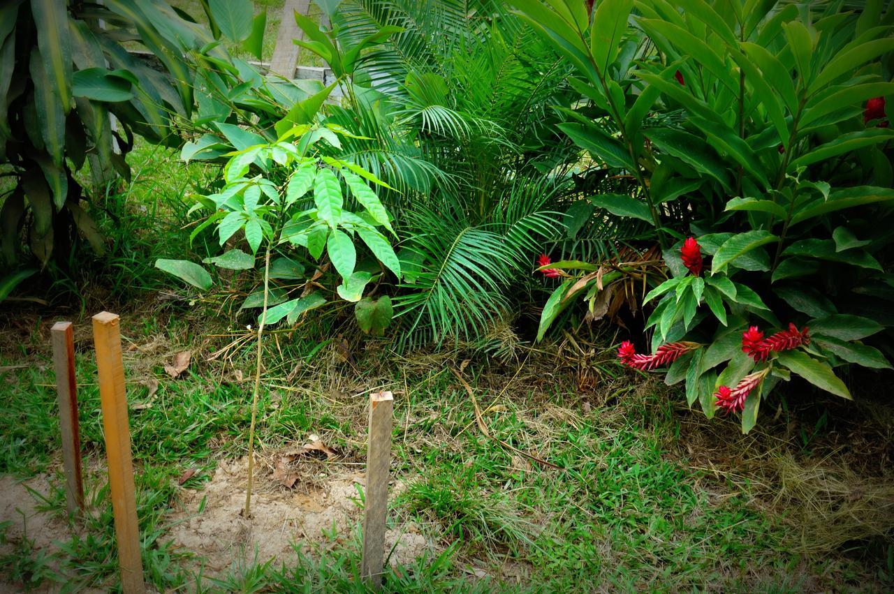 Villa Hermosa De Tambopata Casa Hospedaje & Hostel ปูแอร์โต มัลโดนาโด ภายนอก รูปภาพ
